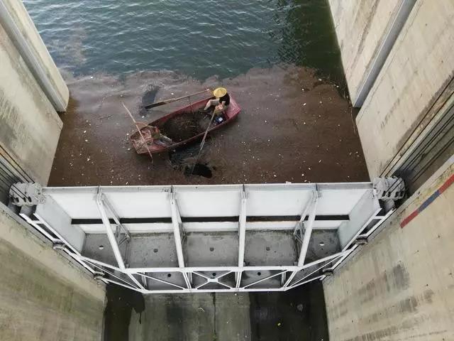 太河水库最新水位观察与解读